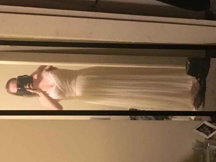 Intro and dress decision