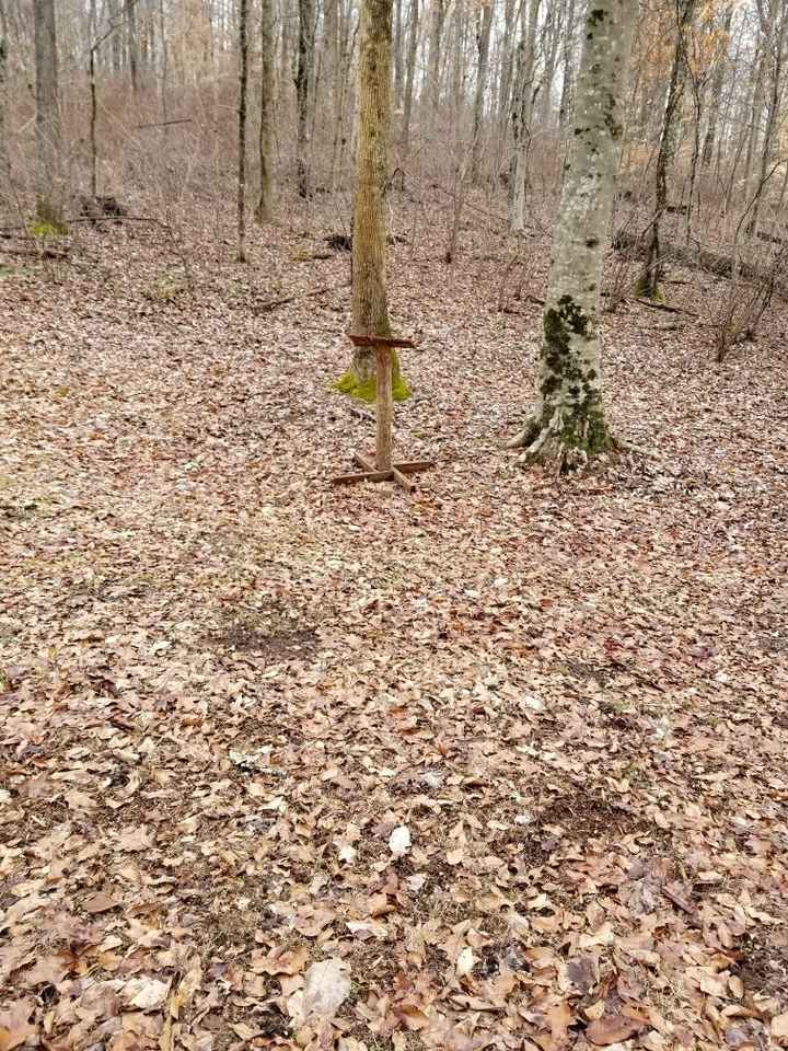  Outdoor ceremony - 2