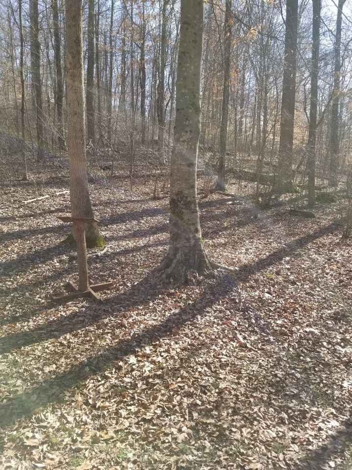 Change of reception - 5