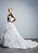 The Dress!  I want to see yours too