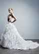 The Dress!  I want to see yours too