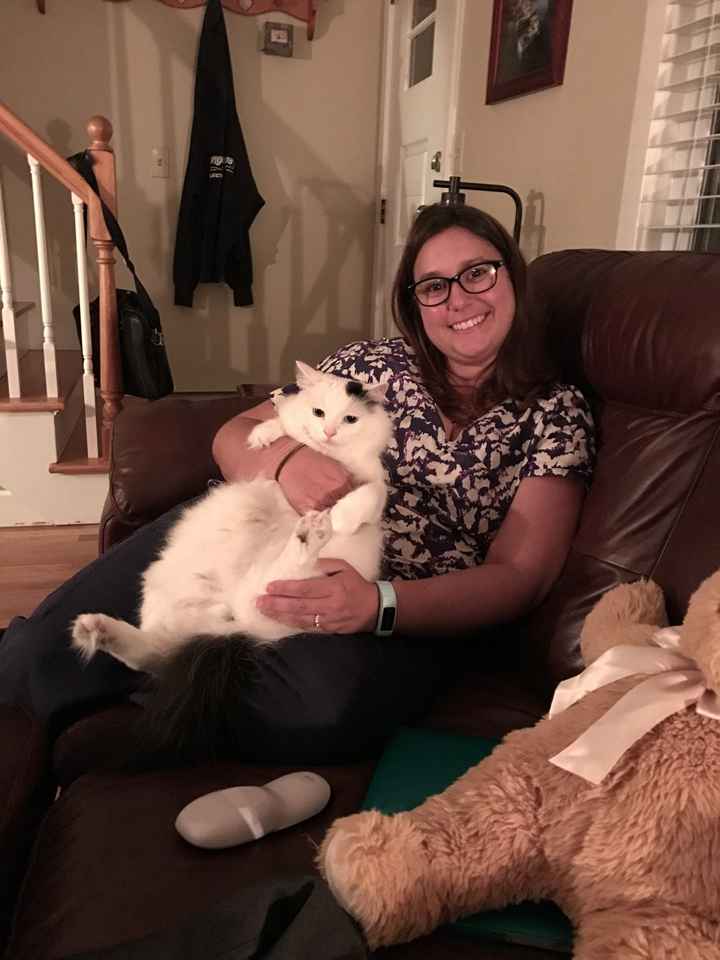 NWR: Tomorrow is National Cat Day!