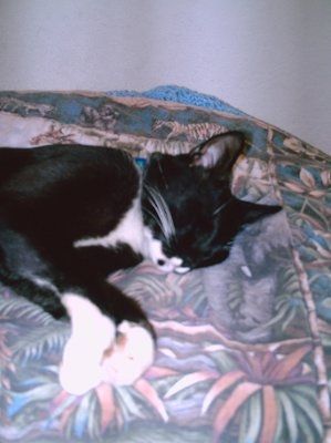 Lets' see your babies!!!