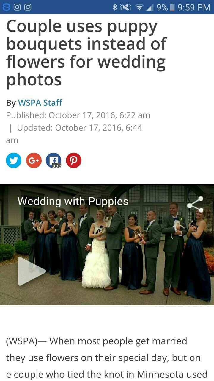 Whyyyy. Puppies aren't flowers.. or party favors..