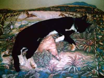 Lets' see your babies!!!