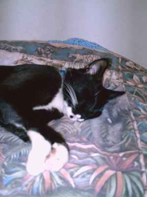 Lets' see your babies!!!