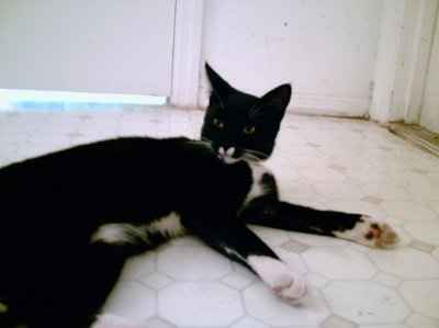 Lets' see your babies!!!