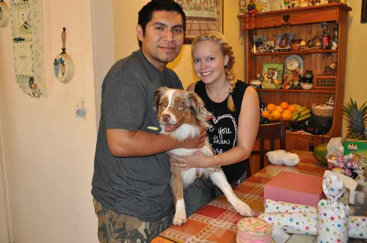 Fur Babies (Give the Best Hugs)