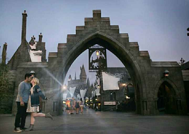 Harry Potter engagement photo