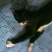 Lets introduce ourselves and lay it on the table