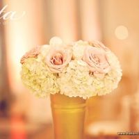 My wedding color is gold with champagne. What color of flowers should I get???