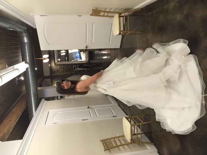 Second Wedding Dress?