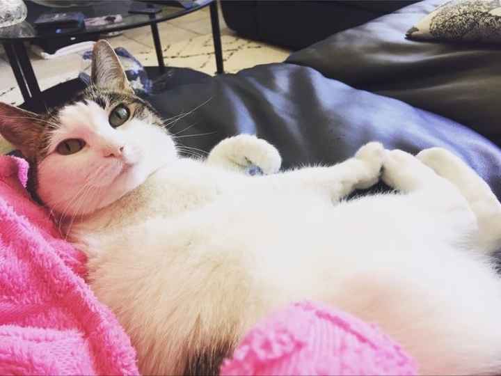 Post a pic of something that makes you happy!