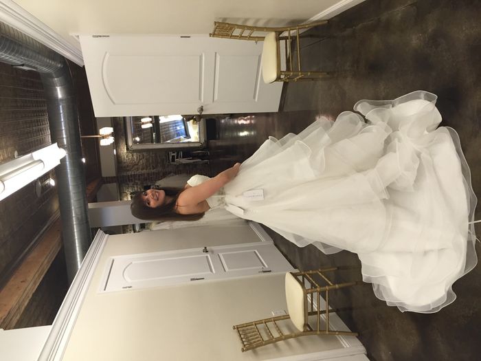 Second Wedding Dress?