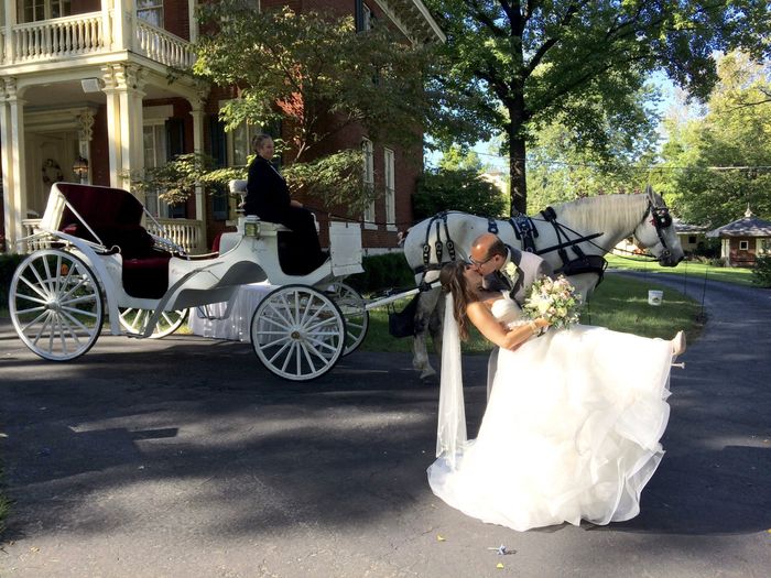 horse carriage