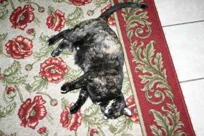 Let's get to know each other ladies!