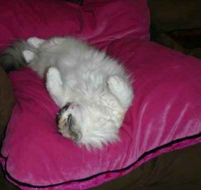 Let's get to know each other ladies!