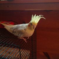 Just need to vent and cry a little