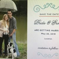 Help me decide on a STD!