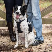 Save the Date Decision Help :)