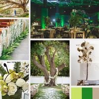 What colors did you choose for your wedding? - 1