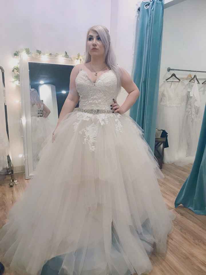 What length of veil looks best? (pic attached) - 1