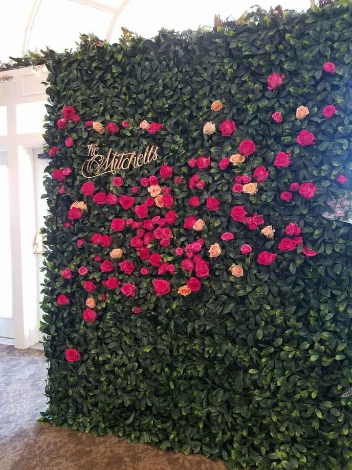 Backdrop - 1