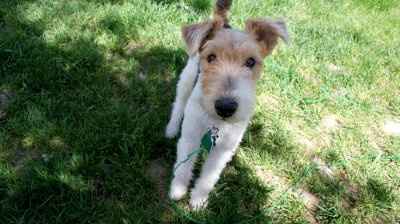 Lets see those pets!!! (NWR)