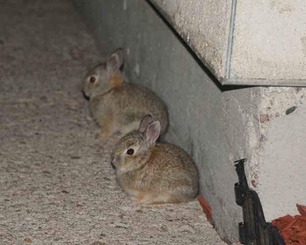 Be prepared to say "Awww..."