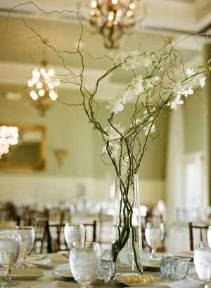 I want to see YOUR centerpieces (or ideas you have)