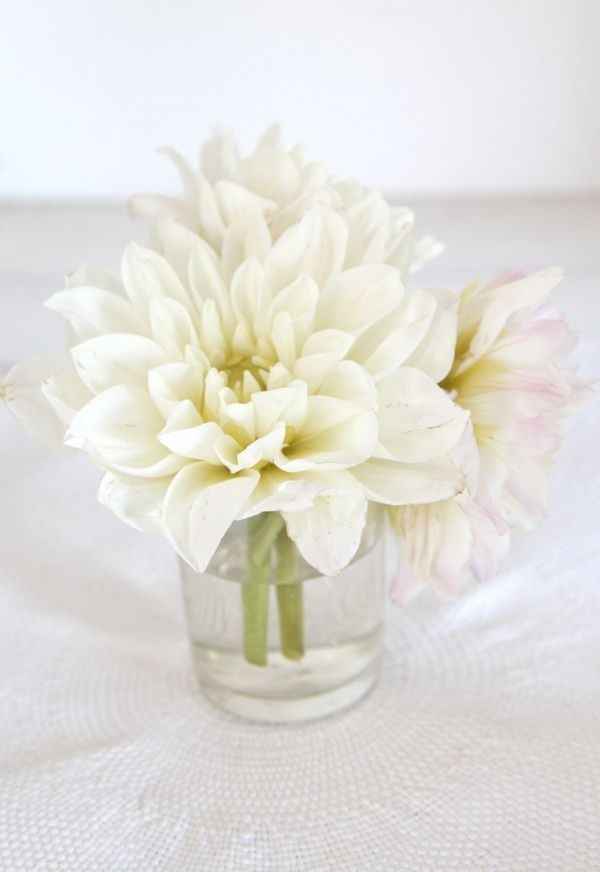 I want to see YOUR centerpieces (or ideas you have)