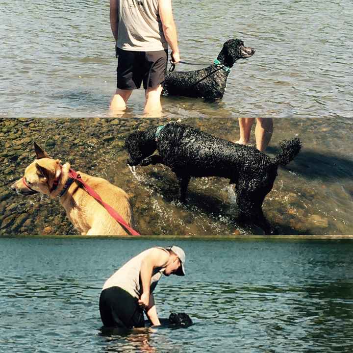 NWR Wait.....This looks familiar... (furbaby!)