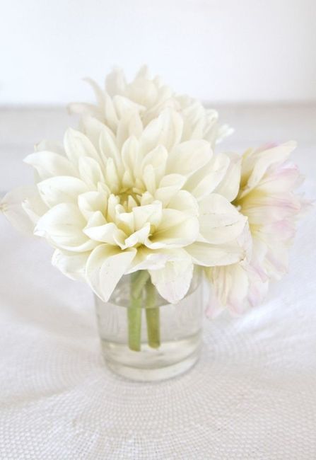 I want to see YOUR centerpieces (or ideas you have)