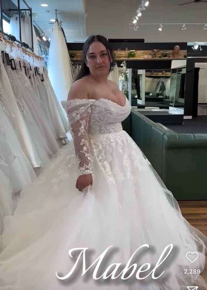 Detachable Sleeves for Plus Size Women - 3