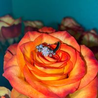 Brides of 2022! Show us your ring! - 1