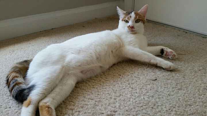 Sorry that I'm so very lazy.