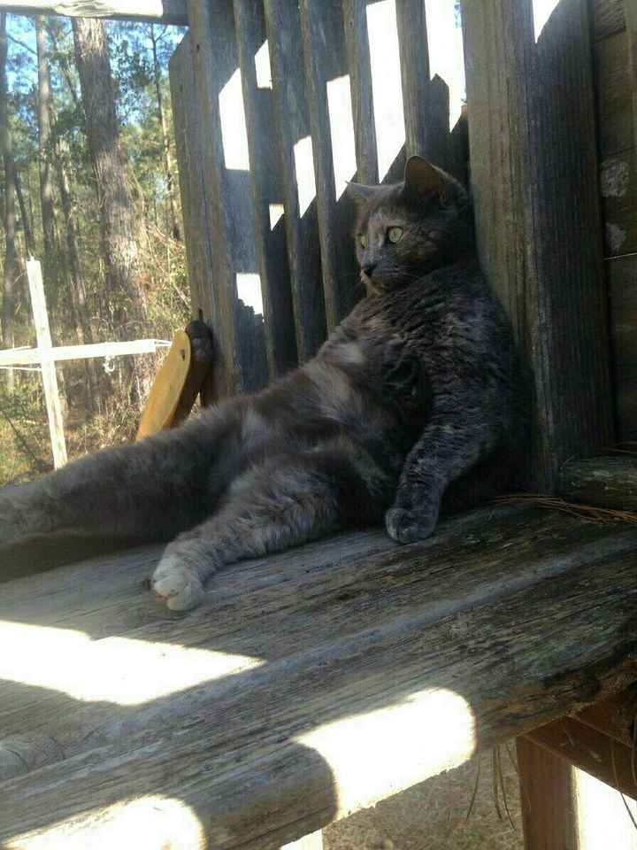 Mid Afternoon Pick Me Up