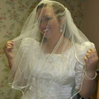 Yay! Picked up my dress! Help, veil or no veil?