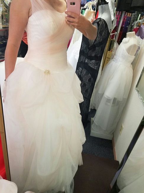 My final dress fitting