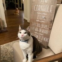 Let's see your diy Signs - 1