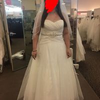 I FINALLY got my dress