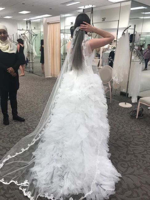 Which veil and what kind of hair style? 2