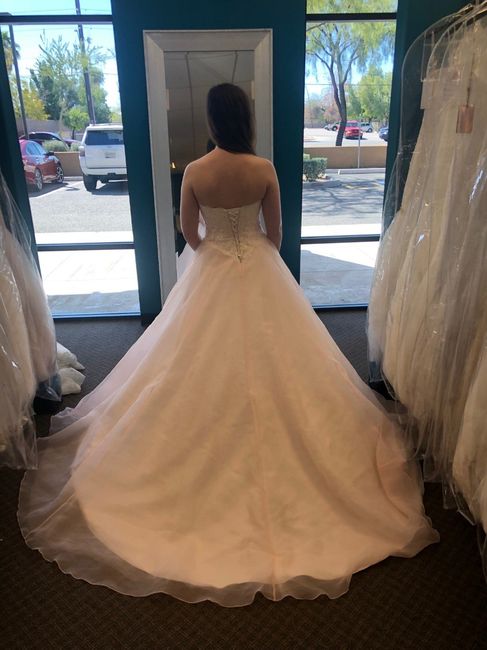 Corset back dress  w/o modesty panel questions 🤷‍♀️ 4