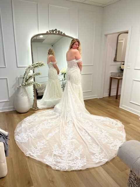 Picked Up My Dress - 1