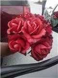 Flowers at Hobby Lobby