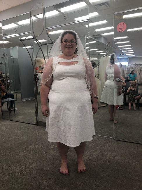 Saga of the $5 wedding dress- pics 2