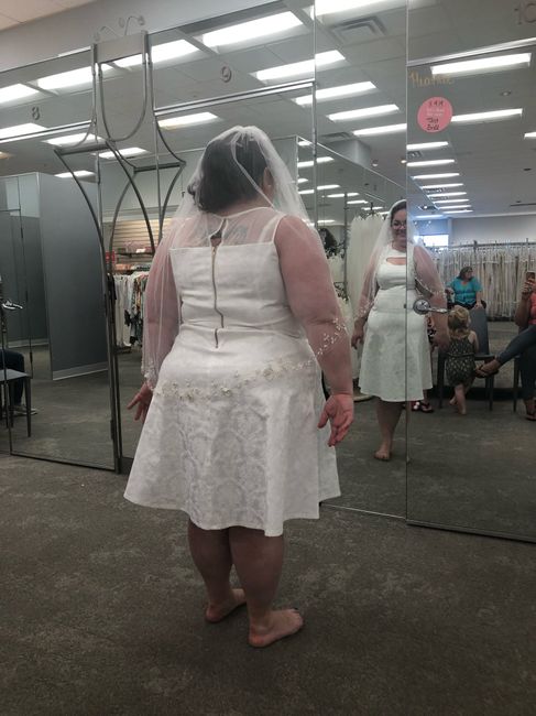 Saga of the $5 wedding dress- pics 3