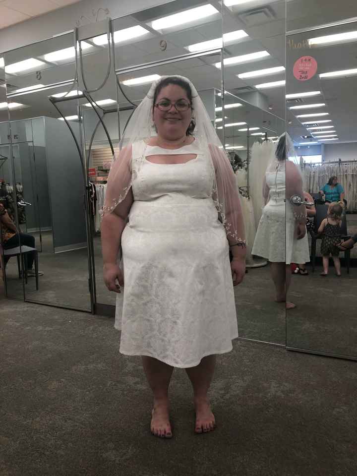Saga of the $5 wedding dress- pics - 2