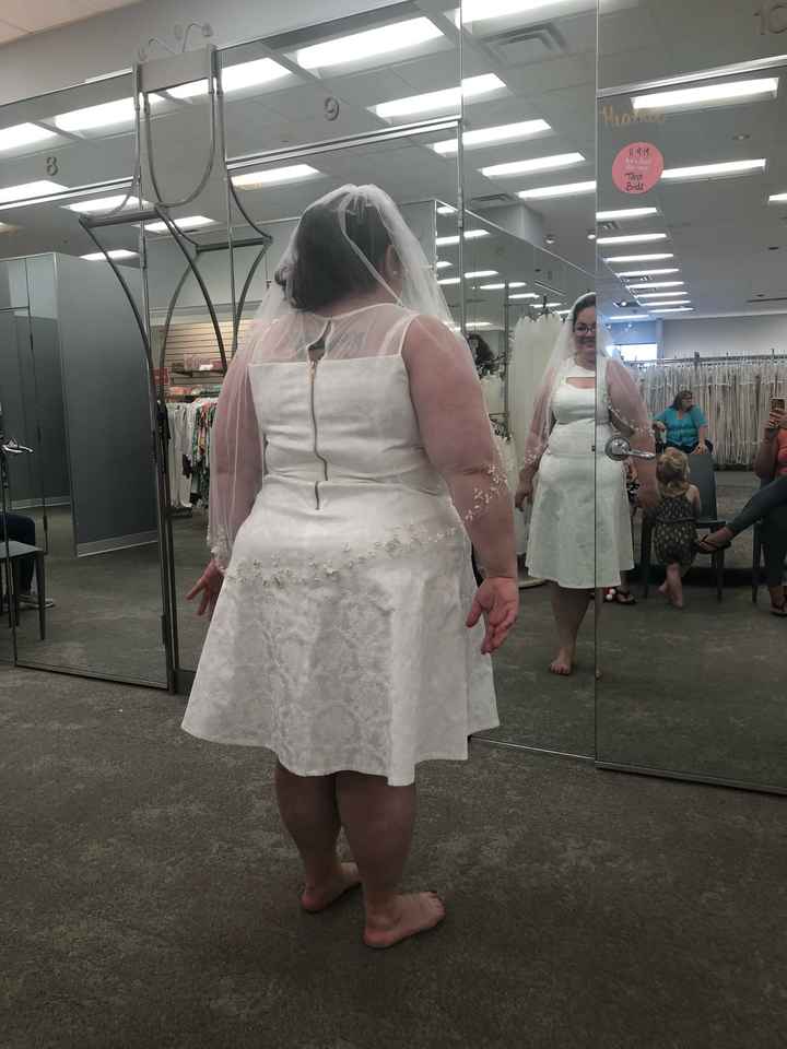 Saga of the $5 wedding dress- pics - 3