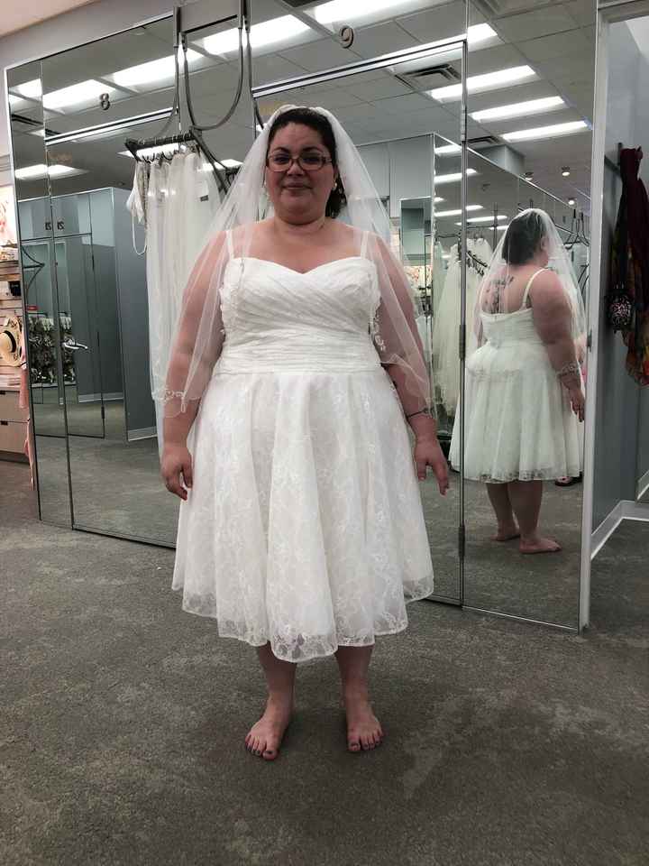 Saga of the $5 wedding dress- pics - 4